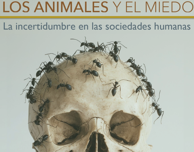 Formato Actualidad - 2024-10-31T120548.610